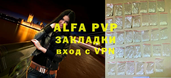 гидра Вязьма