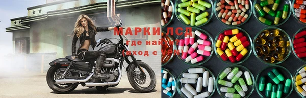 ГАЛЛЮЦИНОГЕННЫЕ ГРИБЫ Нефтегорск