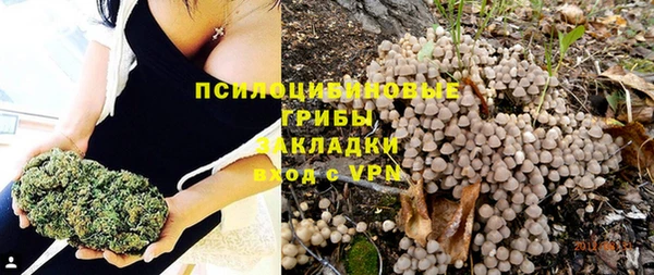 мет Нея