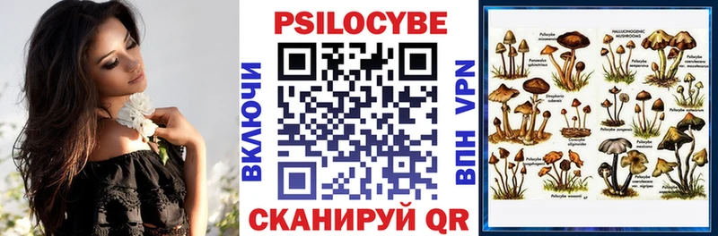 blacksprut ONION  Большой Камень  Псилоцибиновые грибы Cubensis 