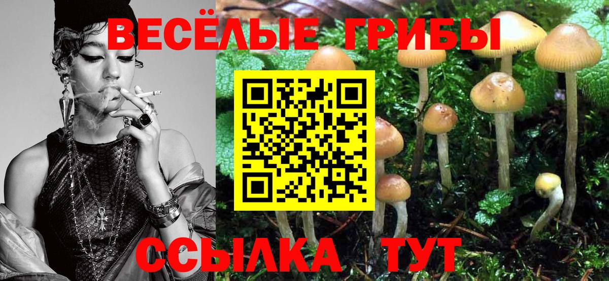 Псилоцибиновые грибы Psilocybe  Большой Камень  Псилоцибиновые грибы Magic Shrooms 