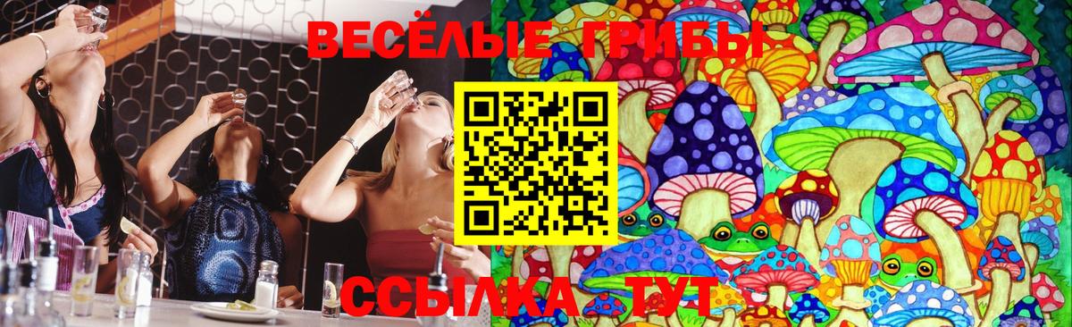 Псилоцибиновые грибы прущие грибы Большой Камень