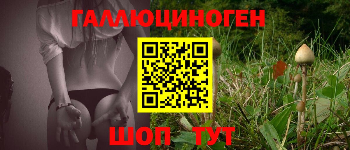 Галлюциногенные грибы MAGIC MUSHROOMS  Галлюциногенные грибы мухоморы  Большой Камень  Вход с VPN 